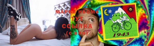 стаф Белокуриха