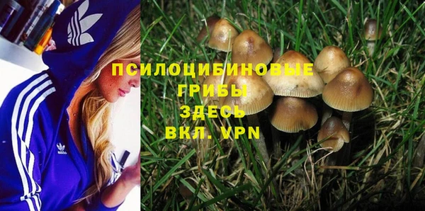прущие крисы Белоозёрский