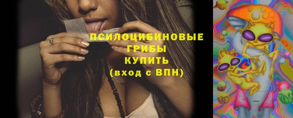 сатива Беломорск