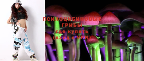 сатива Беломорск