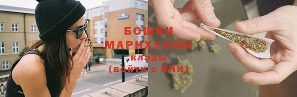 стаф Белокуриха