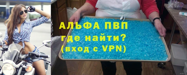 сатива Беломорск