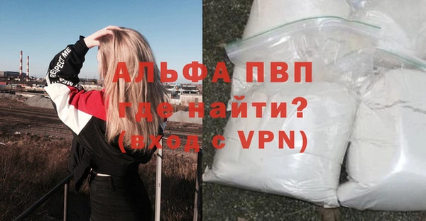 сатива Беломорск