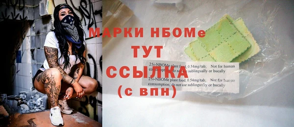 сатива Беломорск