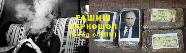 сатива Беломорск