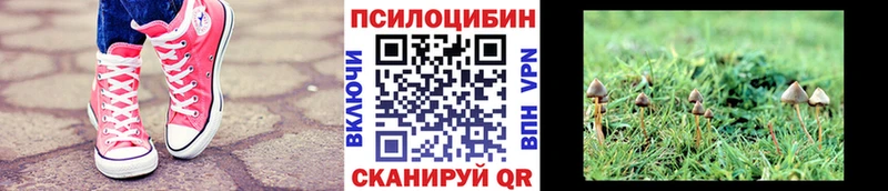 наркошоп  Дальнегорск  Псилоцибиновые грибы мухоморы 
